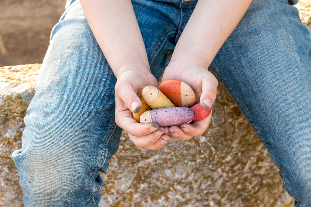 Bambino che tiene in mano alcuni insetti in legno del set Grapat Insects.